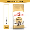 Роял Канин МЕЙН КУН сухой корм для кошек породы Мейн-Кун, 10кг, ROYAL CANIN Maine Coon