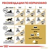 Роял Канин СИАМИС сухой корм для кошек Сиамской Породы, 2кг, ROYAL CANIN Siamese