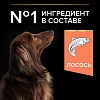 Про План СМОЛЛ МИНИ ЭДАЛТ СЕНСИТИВ СКИН сухой корм для собак мелких пород с чувствительной кожей, с лососем, 7кг, PRO PLAN Small & Mini Adult Sensitive Skin  