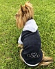 Толстовка для собак из велюра с капюшоном, размер 28, длина 21-22см, обхват груди 36-38см, графит/серая, Твк-1004, OSSO Fashion
