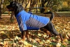 Попона дождевик для собак Ставанджер, полиэстер, синяя, размер 7XL,61335,	HUNTER