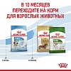 Роял Канин МИНИ ПАППИ сухой корм для щенков мелких пород, 2кг, ROYAL CANIN Mini Puppy