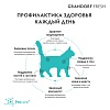 Грандорф Фреш ЛАДЖ беззерновой корм с живыми пробиотиками для крупных кошек, свежее мясо ягненка с бататом,  400г, GRANDORF FRESH Large Cat