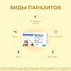 ФИПРИСТ КОМБО препарат от клещей, блох, вшей, власоедов для кошек и хорьков, 1 пипетка, KRKA Fiprist Combo