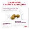 Роял Канин РЕНАЛ лечебный сухой корм для кошек, 350г, ROYAL CANIN RENAL