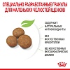 Роял Канин МАКСИ ПАППИ сухой корм для щенков крупных пород,  3кг, ROYAL CANIN Maxi Puppy
