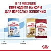 Роял Канин МЕДИУМ ПАППИ сухой корм для щенков средних пород, 14кг, ROYAL CANIN Medium Puppy