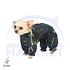 Комбинезон для собаки ЧИХУАХУА, дождевик - камуфляж, без подкладки, на кобеля, длина спины 26см, обхват груди 36см, ТУЗИК