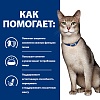 Хиллс K/D лечебный влажный корм для кошек при хронической почечной недостаточности, кусочки в соусе с лососем, 85г, HILL'S Prescription Diet K/D Kidney Care