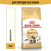 Роял Канин МЕЙН КУН сухой корм для кошек породы Мейн-Кун,  2кг, ROYAL CANIN Maine Coon