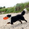 Игрушка для собак ДИСК ФРИСБИ, 22см, силикон, разноцветный, 33506, TRIXIE