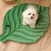 Лежак для собак ЛИСТОЧЕК, 90*65*h5см, зеленый/светло-зеленый, велюр, MKR221422, MR. KRANCH