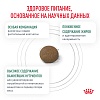 Роял Канин САТАЕТИ ВЕЙТ МЕНЕДЖМЕНТ лечебный сухой корм для кошек для снижения веса, 3,5кг, ROYAL CANIN Satiety Weight Management 