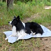 Охлаждающий коврик для собак, 75*100см, серый, О-1023, OSSO Fashion