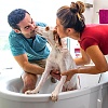 Nature's Miracle шампунь-кондиционер для собак гипоаллергенный, 473мл, Hypoallergenic Odor Control Shampoo