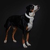 Ошейник для собак Хантер ДИВО РЕФЛЕКТ, размер XL, 45мм/55-65см, черный/серый, нейлон/полиэстер, 68967, HUNTER Divo Reflect