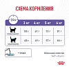 Роял Канин АППЕТАЙТ КОНТРОЛ КЕА сухой корм для кошек для контроля аппетита 400г, ROYAL CANIN APPETITE CONTROL