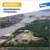 АДВОКАТ капли на холку от блох, чесоточных клещей и круглых гельминтов для собак от 25 до 40кг, 1 пипетка, ELANCO Advocate