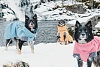Попона утепленная для собак Хуртта ЭКСПЕДИШН ПАРКА 45, длина спины 45см, объем груди 45-80см, ягодная, полиэстер, 933727, HURTTA Expedition Parka