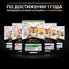 Про План КИТТЕН влажный корм для котят, с говядиной в соусе, 85г, PRO PLAN Kitten Healthy Start