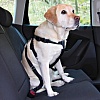Автомобильный ремень безопасности со шлейкой для собак, 30-70см, нейлон, 1290, TRIXIE