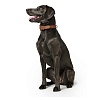 Ошейник для собак Хантер КАНАДИАН 55, 35мм/42-48см, рыжий/черный, натуральная кожа лося, 42787, HUNTER Canadian