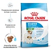 Роял Канин МИНИ СТАРТЕР сухой корм для щенков мелких пород в возрасте до двух месяцев, 1кг, ROYAL CANIN Mini Starter Mother & Babydog