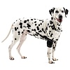 Протектор локтевого сустава собаки, размер XL, для собак весом 40-50кг, 279883, KRUUSE Rehab Elbow Protector