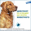 ФОРЕСТО ошейник от клещей и блох для собак менее 8кг, 38см, ELANCO Foresto