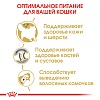 Роял Канин СИБИРСКАЯ сухой корм для кошек Сибирской породы, 2кг, ROYAL CANIN Siberian