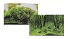 Фон для Аквариума двухсторонний Коряги с растениями/Растительные холмы, 60х150 см, PRIME