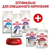 Роял Канин ИНСТИНКТИВ и СТЕРИЛАЙЗД набор влажного корма в соусе, 10*85г, ROYAL CANIN Instinctive/Sterilised