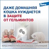 МИЛЬБЕМАКС препарат антигельминтный для кошек весом 2-8кг, 2 таблетки, ELANCO Milbemax