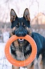 Игрушка для собак ДОГЛАЙК - КОЛЬЦО ВОСЬМИГРАННОЕ, Ø30,5см, оранжевое, D-2611, DOGLIKE Tug&Twist