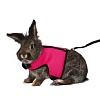 Шлейка-жилетка для кролика, с поводком, 25-40/120см, нейлон, 61514, TRIXIE