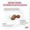 Роял Канин ГЕПАТИК лечебный сухой корм для собак,  1,5кг, ROYAL CANIN Hepatic