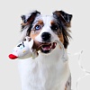 Игрушка для собак МОРОЖЕНОЕ, с канатом, 29см, бежевое, полиэстер, MKR80263, MR.KRANCH