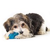 Набор игрушек для собак Петстейджес ОРКА - МИНИ, особо прочный, резина/хлопок, 234, PETSTAGES ORKA