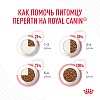 Роял Канин АППЕТАЙТ КОНТРОЛ КЕА сухой корм для кошек для контроля аппетита 400г, ROYAL CANIN APPETITE CONTROL