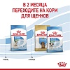 Роял Канин МИНИ СТАРТЕР сухой корм для щенков мелких пород в возрасте до двух месяцев, 1кг, ROYAL CANIN Mini Starter Mother & Babydog