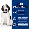 Хиллс C/D УРИНАРИ КЕА лечебный сухой корм для собак для профилактики мочекаменной болезни, с курицей, 1,5кг, HILL'S Prescription Diet C/D Urinary Care