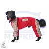 Комбинезон для собаки ЧАУ-ЧАУ, утепленный на флисе, на кобеля, длина спины 52см, обхват груди 99см, ТУЗИК