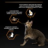 Про План ДЕРМА КЕА влажный корм для кошек с чувствительной кожей, с треской в соусе, 85г, PRO PLAN Adult Derma Care