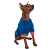 Свитер для собак КАПИТАН АМЕРИКА, размер S, длина спины 25см, объем груди 36-40см, синий, 12271511, TRIOL Marvel