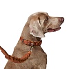 Ошейник для собак Хантер Солид Эдьюкейшн Чейн 55, 35мм/39-46см, рыжий, натуральная кожа, 68632, HUNTER Solid Education Chain