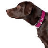 Ошейник для собак ХАНТЕР Вега 45, 22мм/32-40см, малиновый/черный, экокожа, 63663, HUNTER VEGA