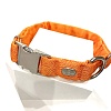 Ошейник для собак с металлической пряжкой, размер M, 19мм/30-48, оранжевый, KCMC-19.HD/OR, JAPAN PREMIUM PET