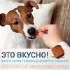 ФРОНТЛАЙН НЕКСГАРД 68мг для собак весом 10,1-25кг, жевательные таблетки от клещей и блох, 3 таблетки, Frontline Nexgard, Merial, Boehringer Ingelheim