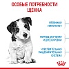 Роял Канин МИНИ ПАППИ сухой корм для щенков мелких пород,  800г, ROYAL CANIN Mini Puppy