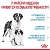 Роял Канин ДЖАЙНТ СТАРТЕР сухой корм для щенков гигантских пород в возрасте до двух месяцев,  4кг, ROYAL CANIN Giant Starter Mother & Babydog
